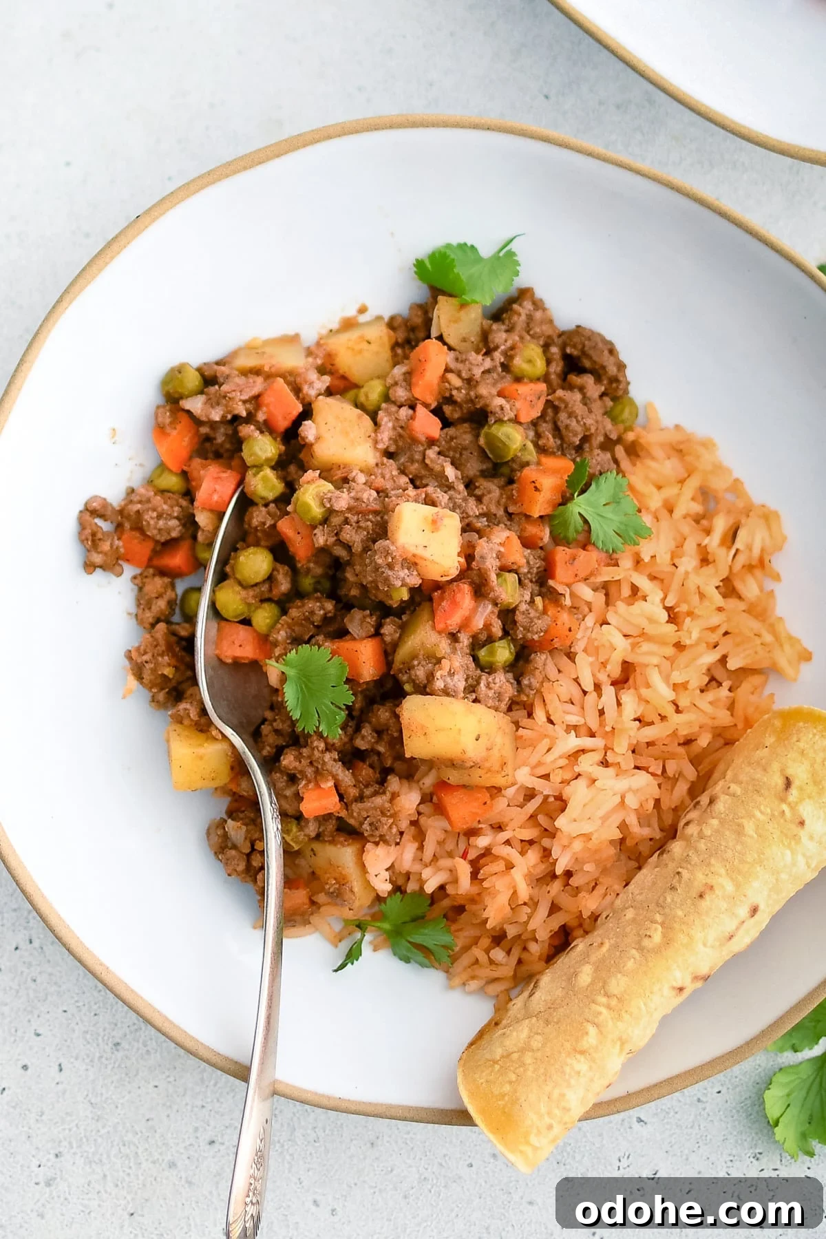40+ Authentic Mexican Recipes for an Unforgettable Cinco de Mayo 40 Mexican style picadillo with ground beef, potato, carrots, and peas, in a seasoned tomato sauce on a white plate with Mexican red rice and tortillas.