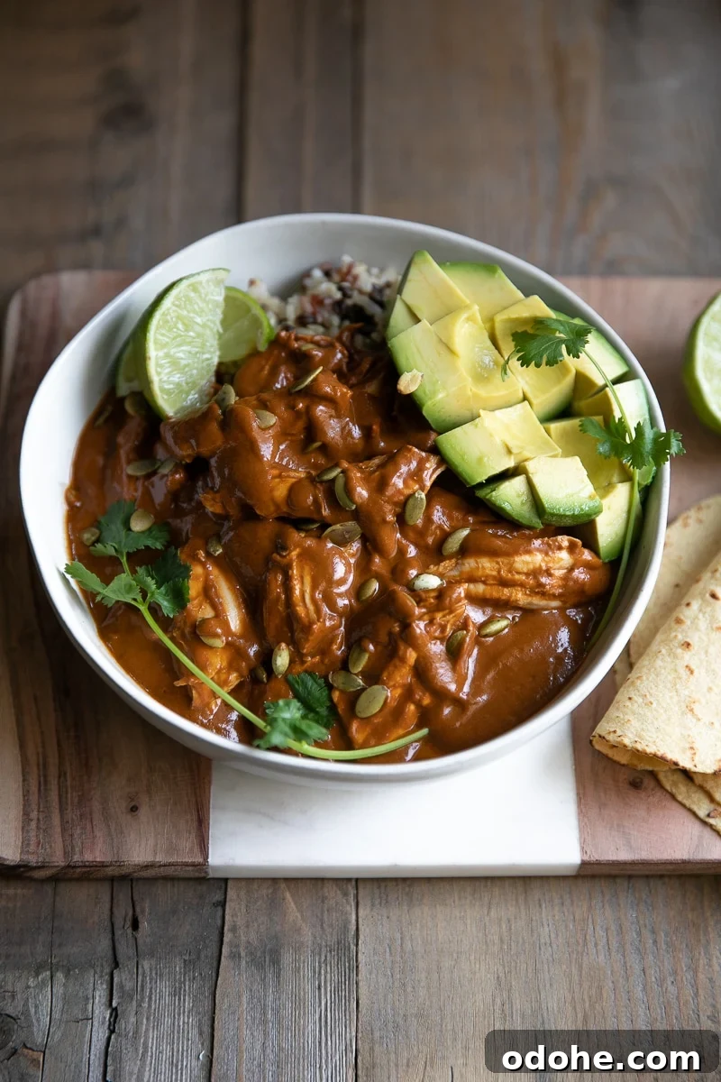 40+ Authentic Mexican Recipes for an Unforgettable Cinco de Mayo 10 Mole sauce served with shredded chicken over rice with avocado and fresh lime.