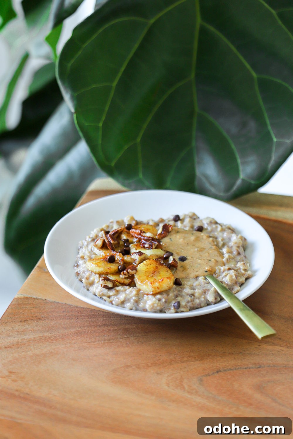 a bowl of banana bread stovetop oatmeal with caramelized banana slices, and chocolate chips