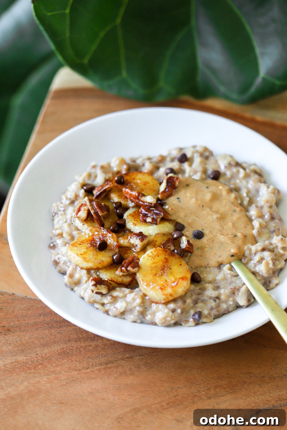 stovetop banana bread oatmeal in a plate topped with caramelized banana, nuts and chocolate chips 