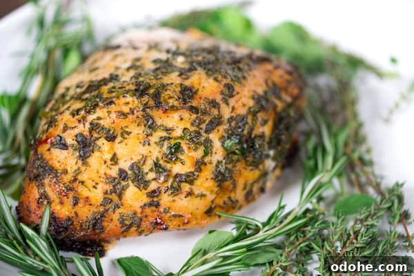 Herb-Butter Roasted Turkey Breast Recipe for Juicy Results 2 Herb Butter Roasted Turkey Breast Closeup with Herbs on the Plate