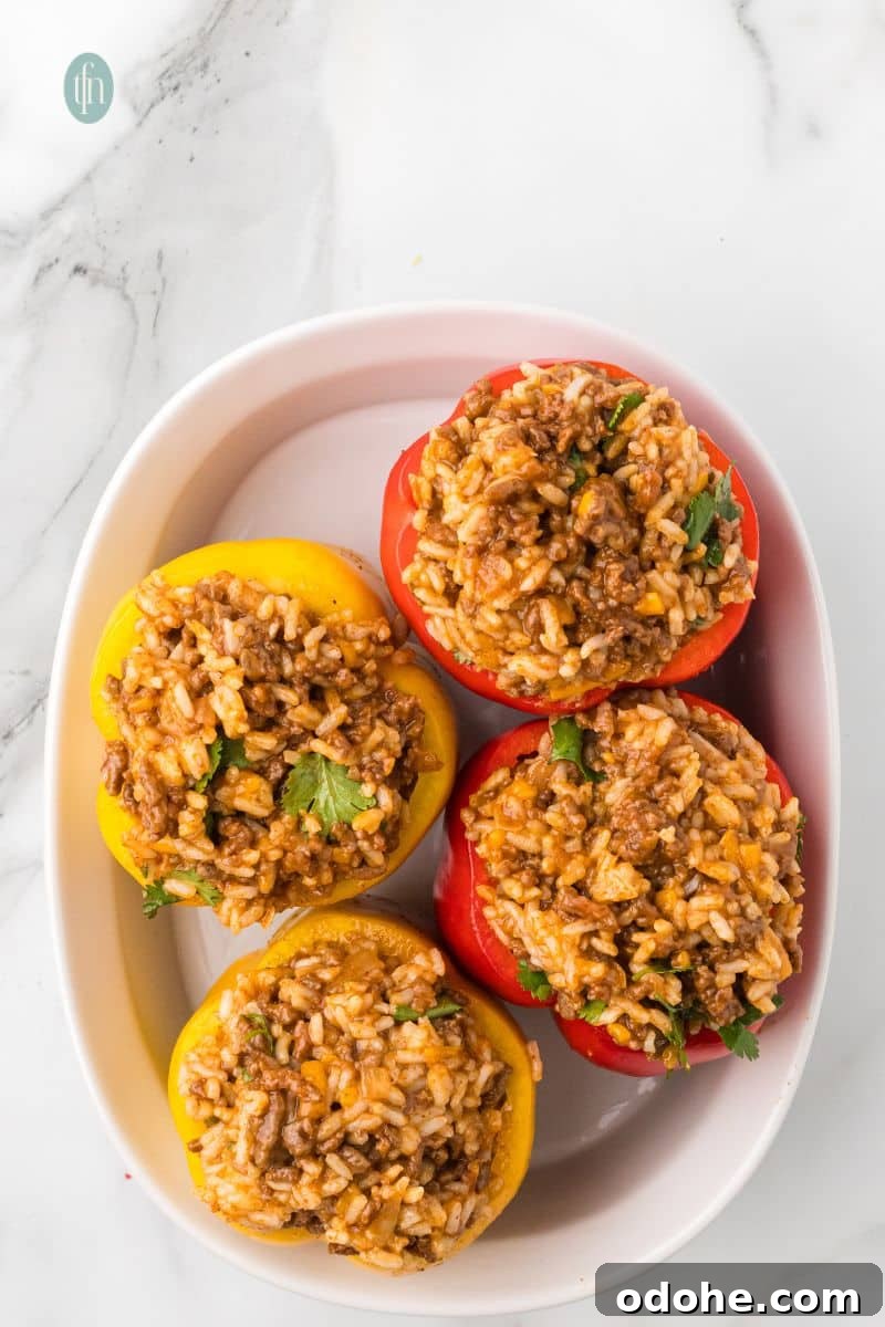 Four bell pepper halves (two red and two yellow) are filled with the ground beef and rice mixture and arranged in a white oval baking dish.