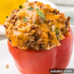 A close-up, square-cropped shot of a single, baked red taco stuffed bell pepper on a white plate, topped with melted cheddar cheese and cilantro.