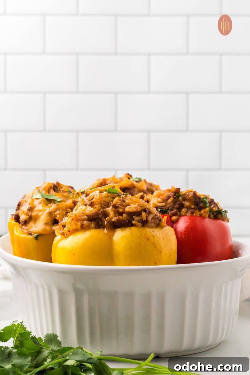 A close-up, low-angle shot of four baked taco stuffed peppers (two red, two yellow) sitting upright in a white baking dish. Fresh cilantro garnishes are in the foreground.