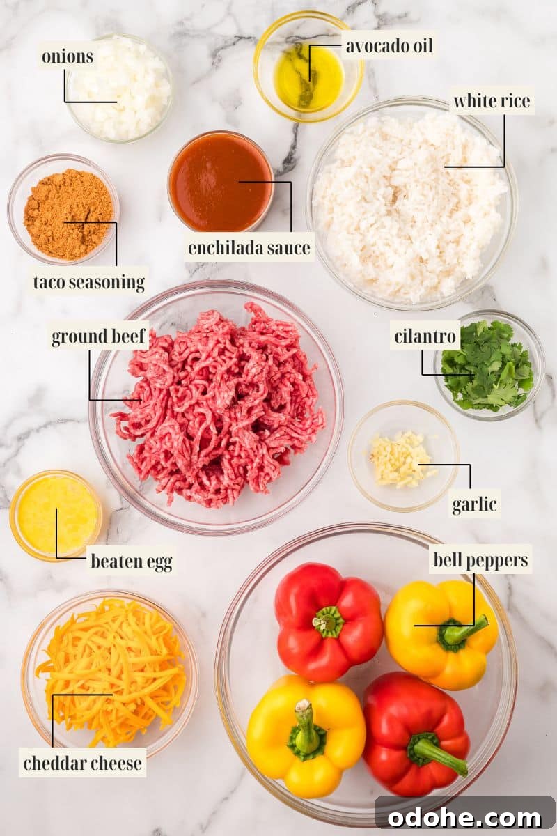 An overhead shot showing all the ingredients for Taco Stuffed Peppers, each labeled: chopped onions, taco seasoning, raw ground beef, beaten egg, shredded cheddar cheese, avocado oil, enchilada sauce, cooked white rice, chopped cilantro, minced garlic, and four whole bell peppers (two red, two yellow).