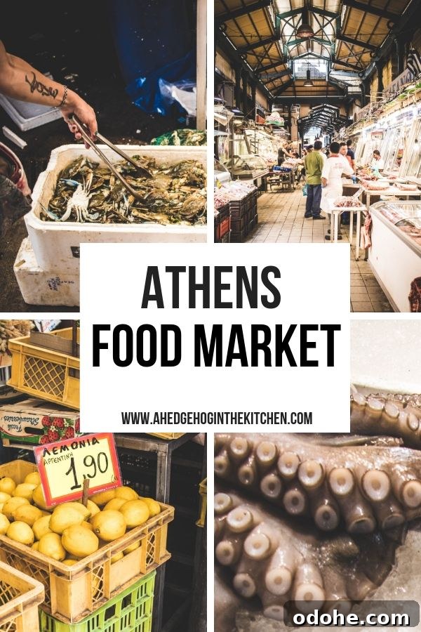 Central Market Athens: 10 Compelling Reasons to Visit the Varvakeios Food Market 15 Athens Food Market pin
