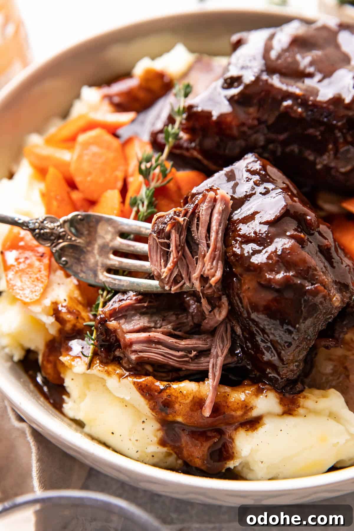 Short ribs close up