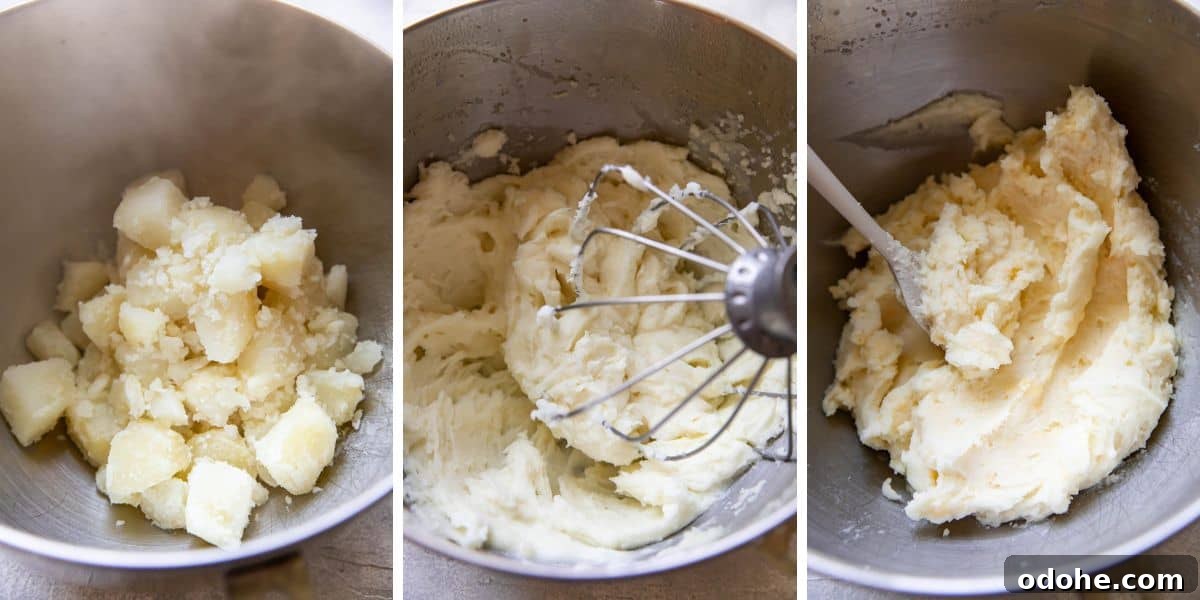 Gouda mashed potatoes and ribs