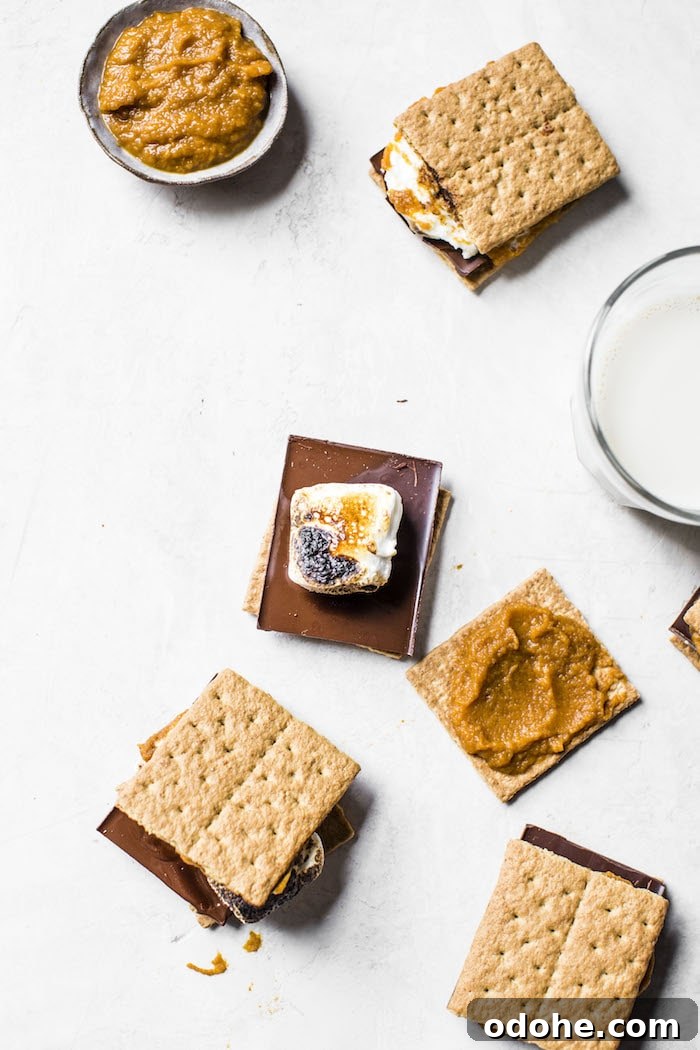 Indoor Pumpkin S'mores | thealmondeater.com