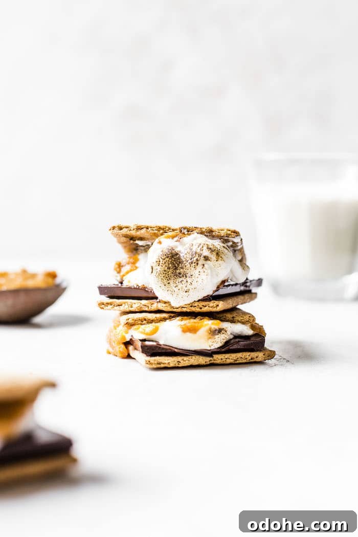 Indoor Pumpkin S'mores | thealmondeater.com