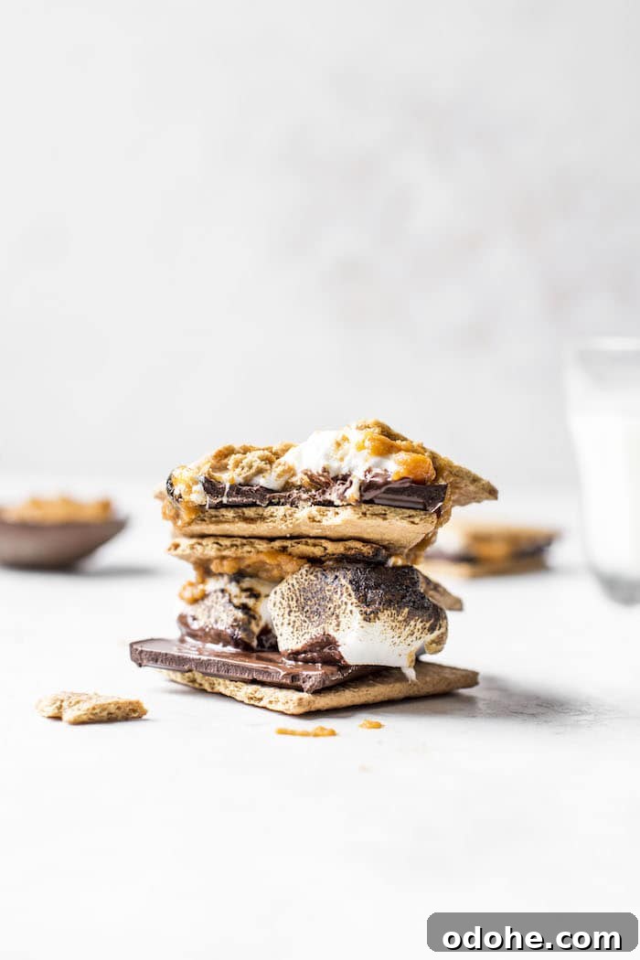 Indoor Pumpkin S'mores | thealmondeater.com