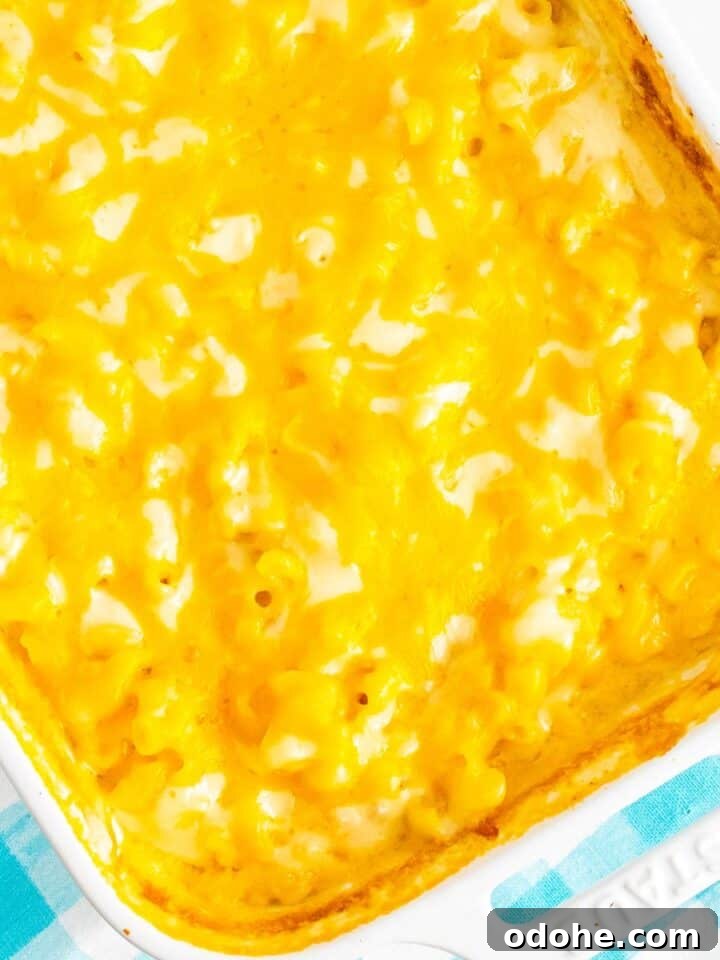 51 Friday Night Dinner Ideas to Try Tonight 3 No Boil Mac and Cheese