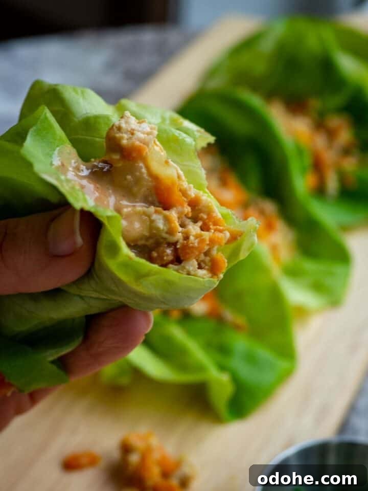 51 Friday Night Dinner Ideas to Try Tonight 18 Asian Lettuce Wraps with Peanut Sauce