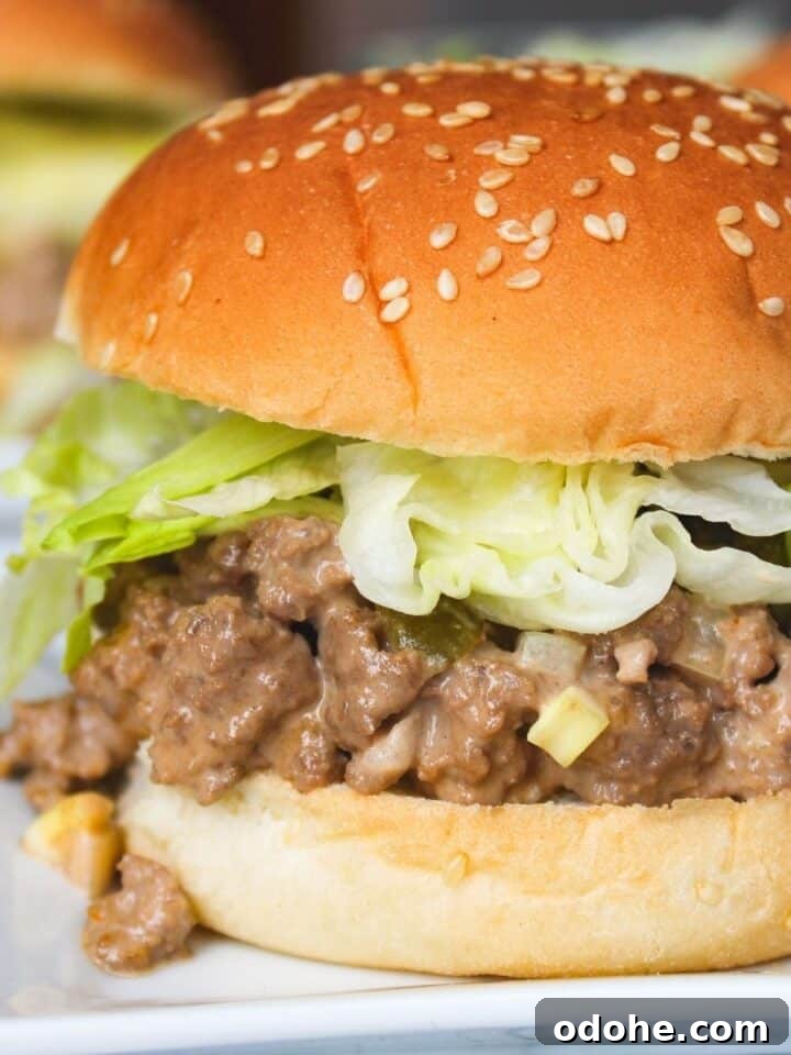 51 Friday Night Dinner Ideas to Try Tonight 5 Big Mac Sloppy Joes