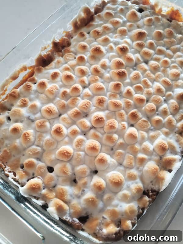 mini marshmallows toasted on top of sweet potatoes in a glass baking dish