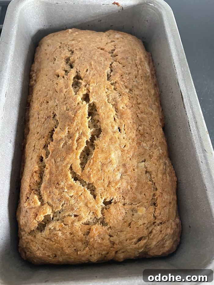 Easy No-Egg Banana Bread in a metal loaf pan placed vertically.