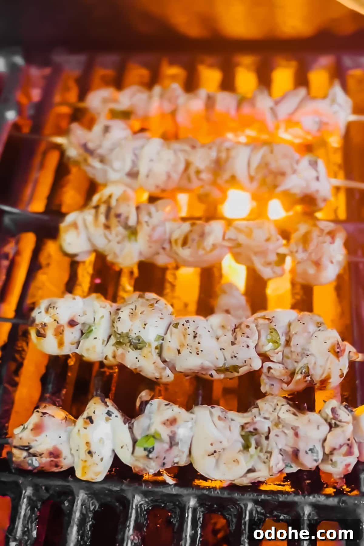 Homemade Chicken Spiedies: Low-Carb Gluten-Free Recipe 5 Grilling skewers of chicken on a gas grill