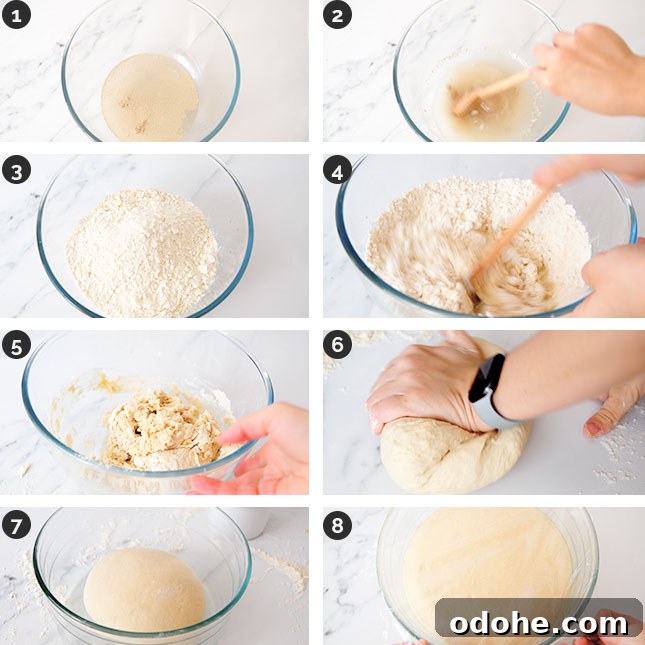 Photo of the first steps of how to make homemade pizza dough