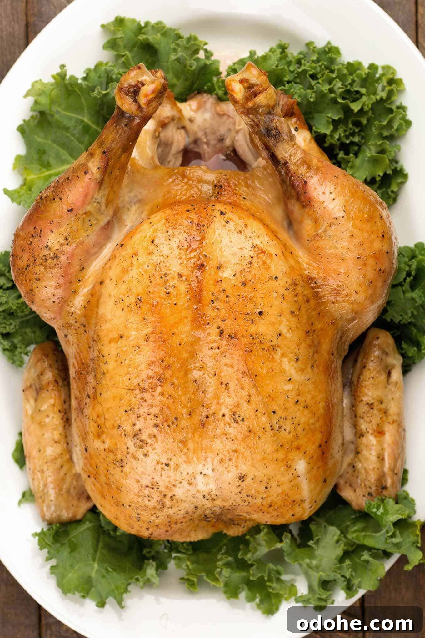 Herb-Roasted Capon with Garlic and Lemon 3 A whole, perfectly-browned, roasted capon on a large, white serving platter garnished with raw kale.