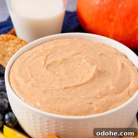 A bowl of creamy pumpkin dip surrounded by apple slices, pretzels, and cookies for dipping.