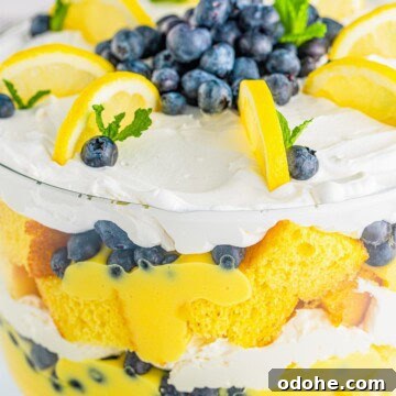 A layered lemon blueberry trifle in a glass dish topped with fresh blueberries and lemon.