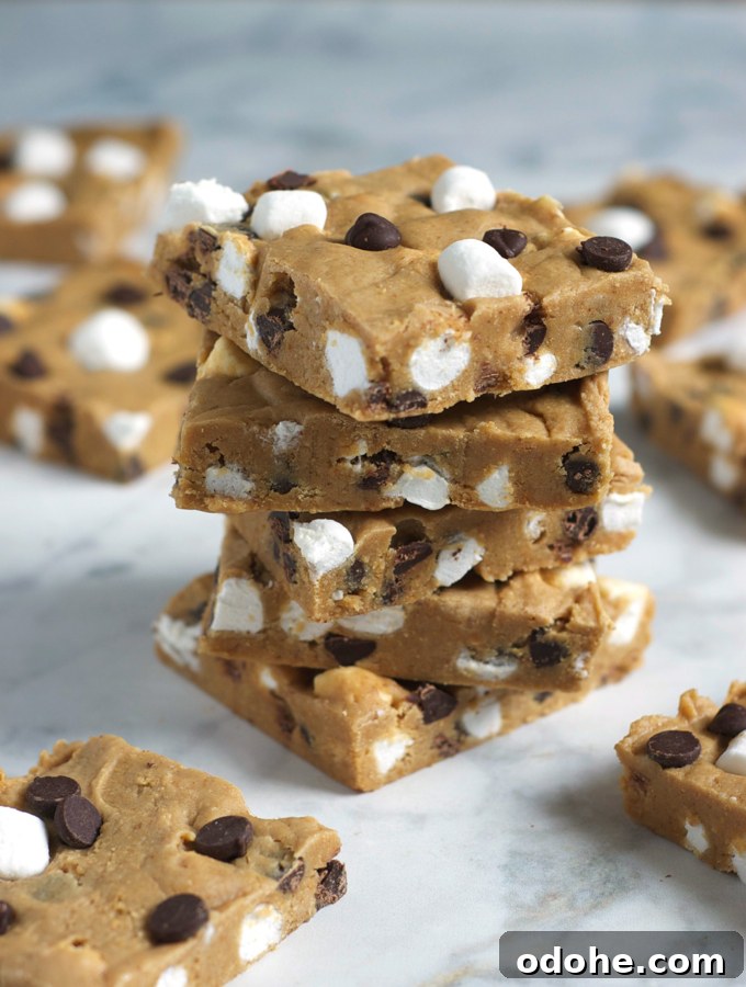 No-Bake S'Mores Bars