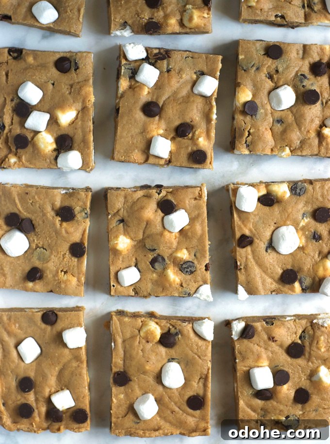 Easy No-Bake-S'Mores Bars