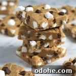 No-Bake S'Mores Bars