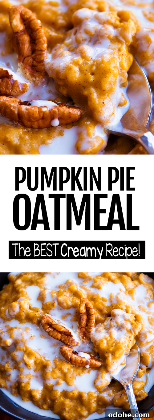 The Best Creamy Pumpkin Oatmeal Recipe