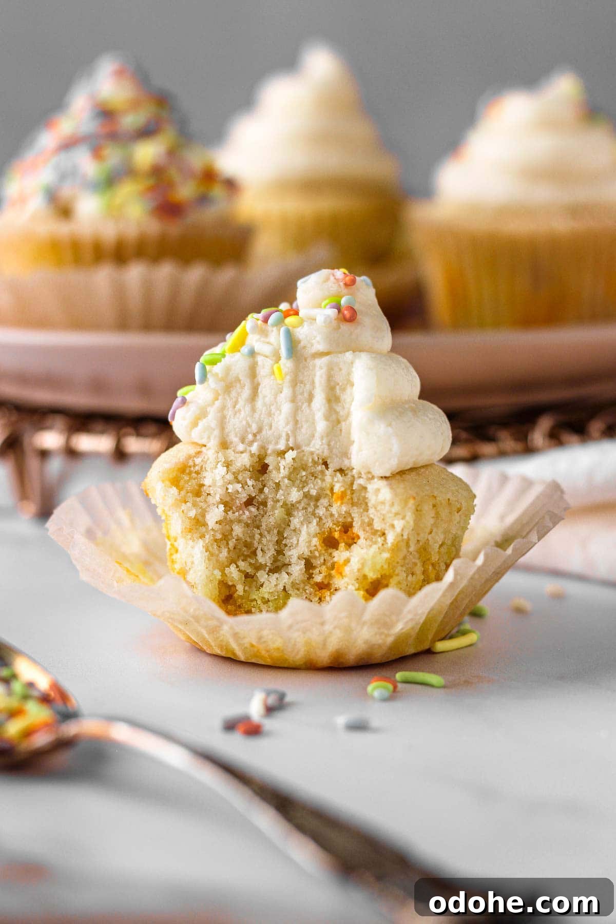 Classic Vanilla Cupcakes with Rainbow Sprinkles 6 vanilla cupcake with vanilla icing and sprinkles for baking blog and food photography
