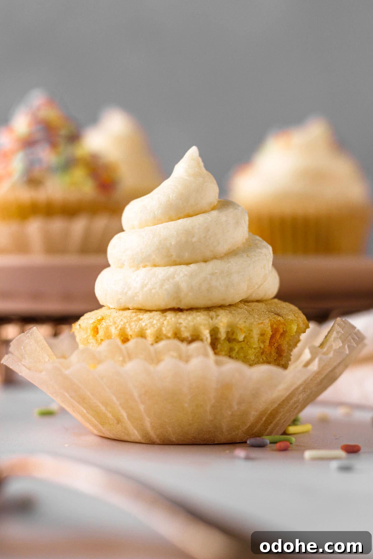 Classic Vanilla Cupcakes with Rainbow Sprinkles 7 vanilla funfetti cupcake with vanilla american buttercream frosting for baking blog