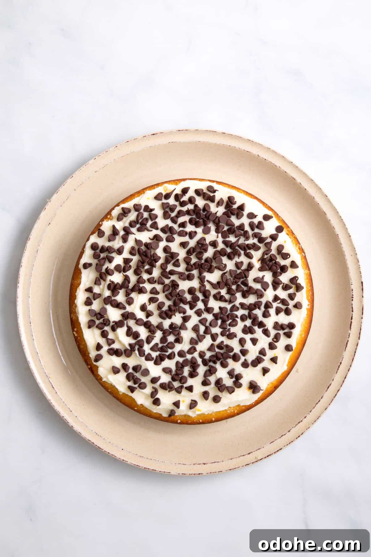 Cannoli Cake Recipe: Ricotta Filling and Chocolate Chips 7 step 3 to make cannoli cake, sprinkle chocolate chips on top of the frosting.