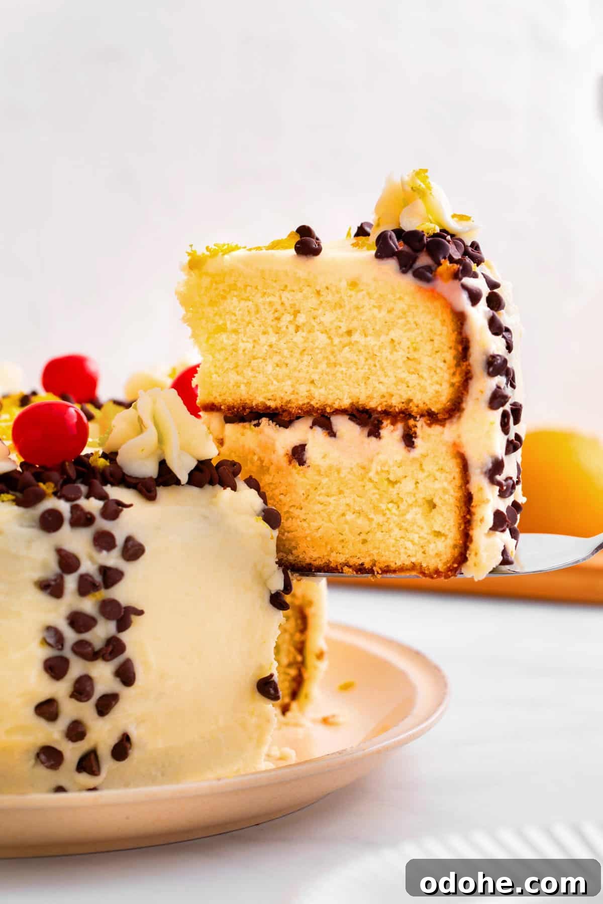 Cannoli Cake Recipe: Ricotta Filling and Chocolate Chips 3 close up image of a slice of cannoli cake.